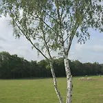 Recreatiepark De Boshoek 3* פורטהאוזן