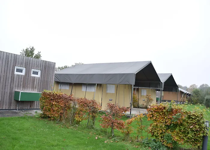 Recreatiepark De Boshoek 3* Voorthuizen