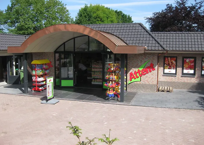 Recreatiepark De Boshoek 3* Voorthuizen