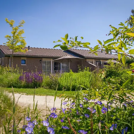 Recreatiepark De Boshoek Prázdninový areál 3*