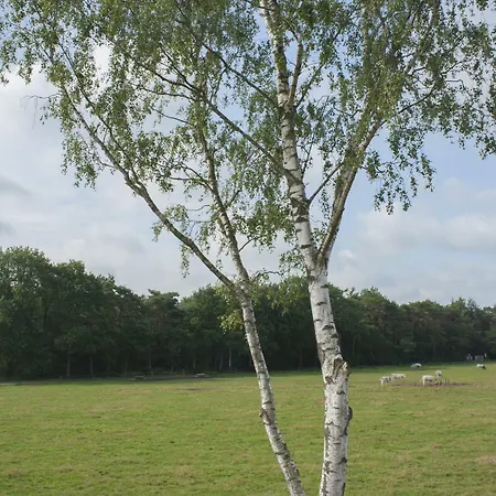 Recreatiepark De Boshoek 3* فورتهاوزن