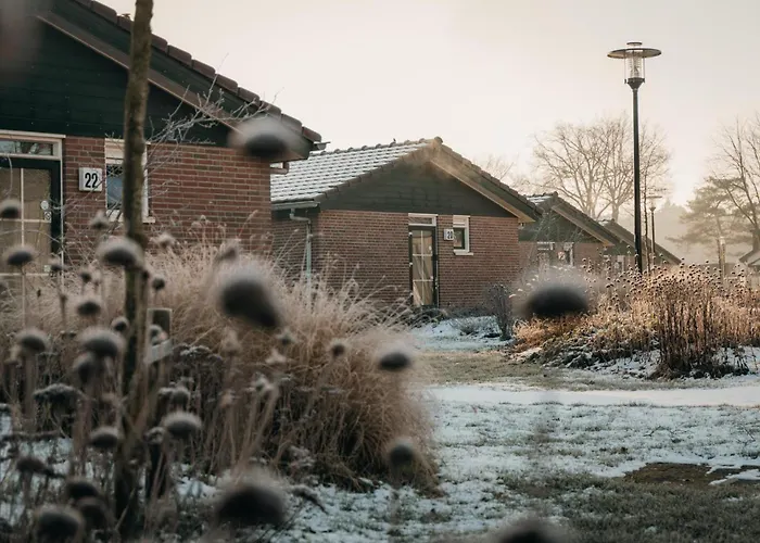 Tatil parkı Recreatiepark De Boshoek